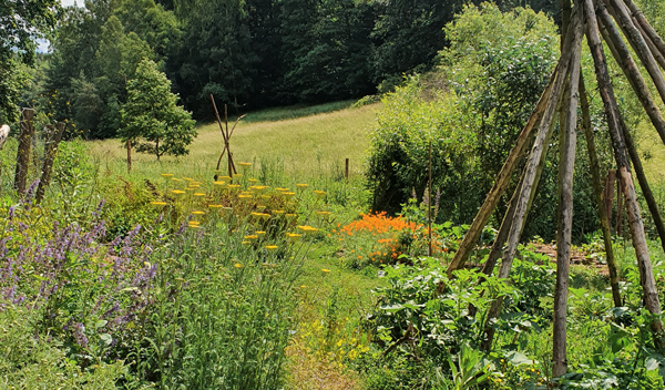 Gemeinschaftsgarten
